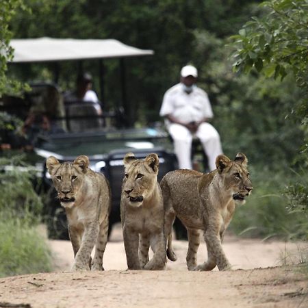 Karongwe Game Reserve Karongwe Portfolio - Kuname Lodge מראה חיצוני תמונה