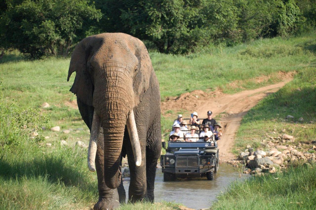 Karongwe Game Reserve Karongwe Portfolio - Kuname Lodge מראה חיצוני תמונה