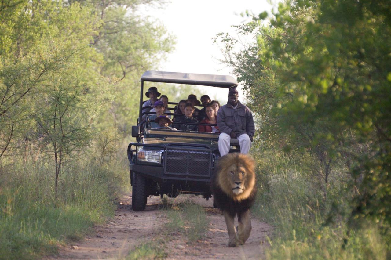 Karongwe Game Reserve Karongwe Portfolio - Kuname Lodge מראה חיצוני תמונה