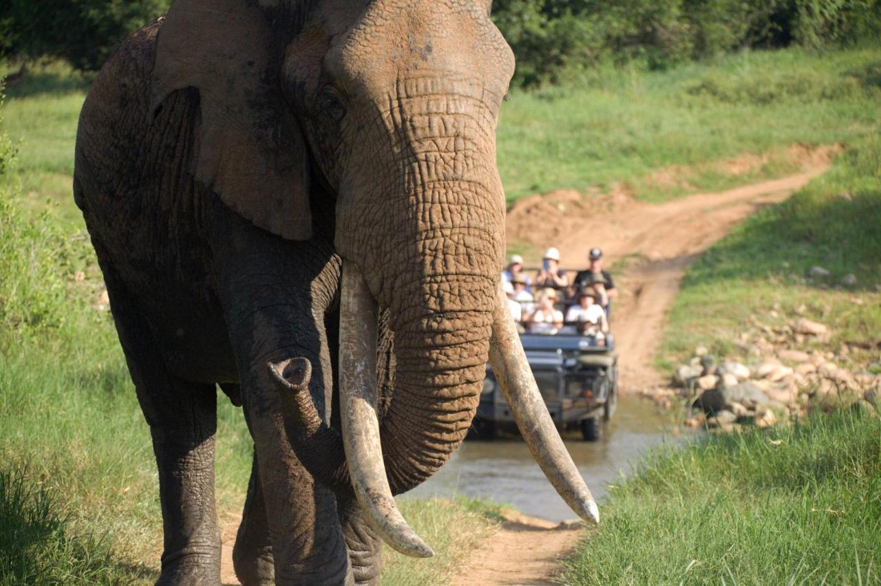 Karongwe Game Reserve Karongwe Portfolio - Kuname Lodge מראה חיצוני תמונה