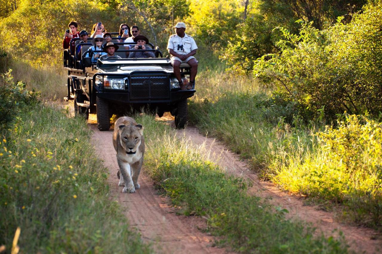 Karongwe Game Reserve Karongwe Portfolio - Kuname Lodge מראה חיצוני תמונה