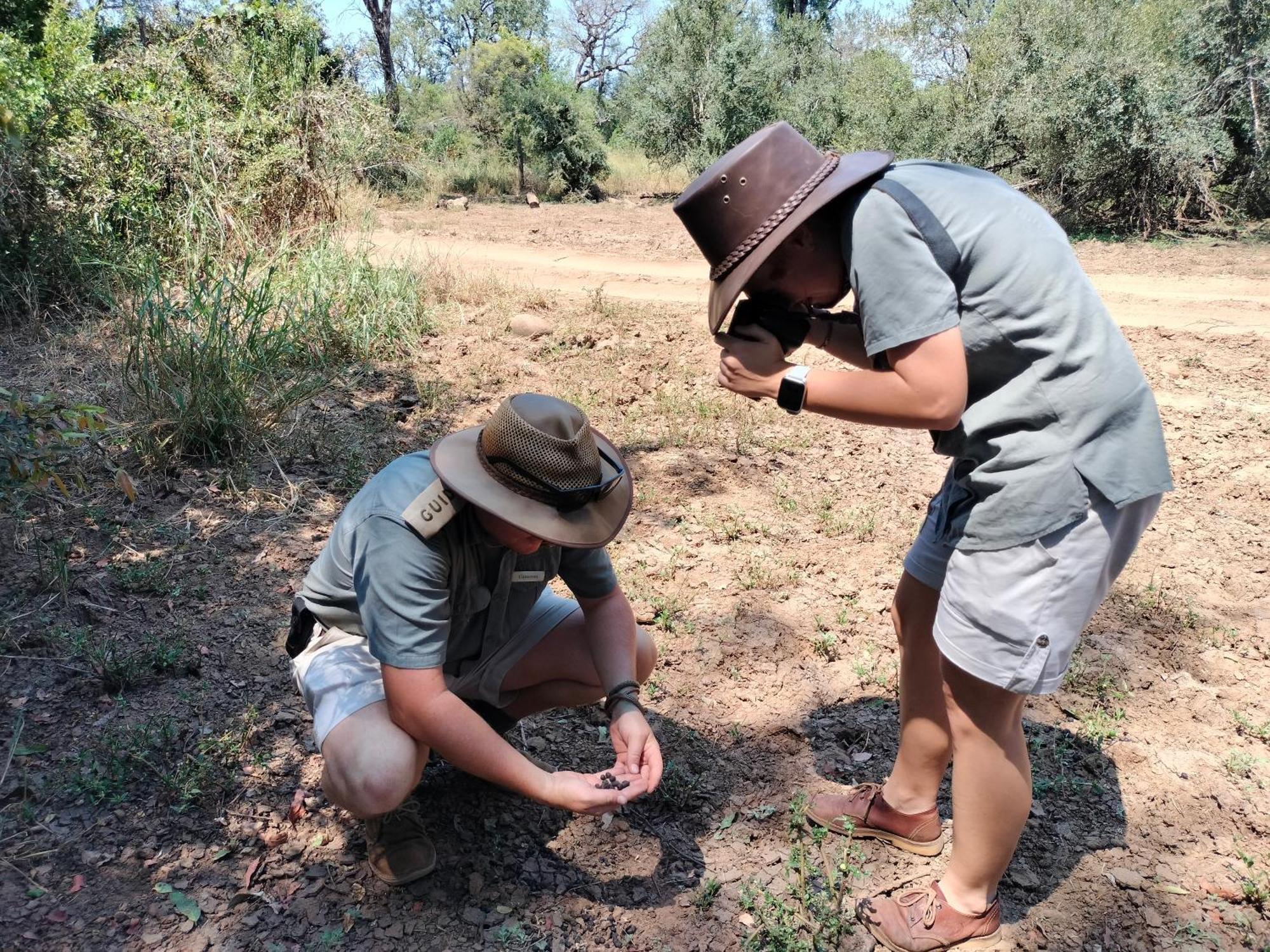 Karongwe Game Reserve Karongwe Portfolio - Kuname Lodge מראה חיצוני תמונה