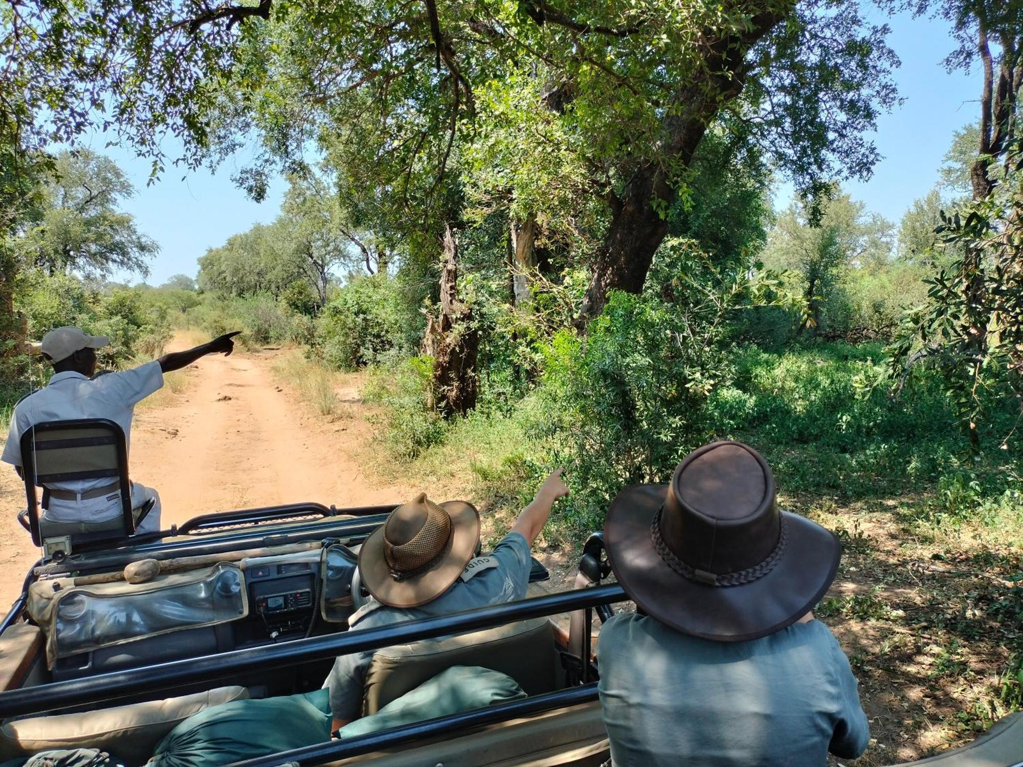 Karongwe Game Reserve Karongwe Portfolio - Kuname Lodge מראה חיצוני תמונה